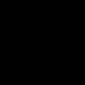 Meet your Posher, Kamryn